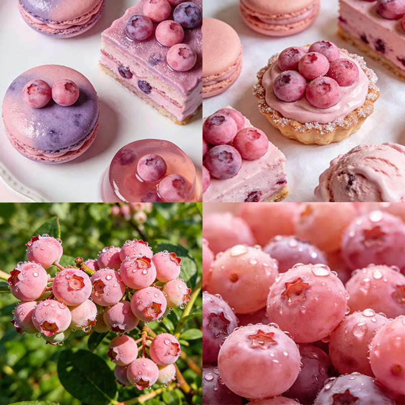 🔥50K+ SOLD!💟Premium Pink Blueberry Seeds 🌱BUY 1 GET 1 FREE 🌸 With Plant Growth Supplement