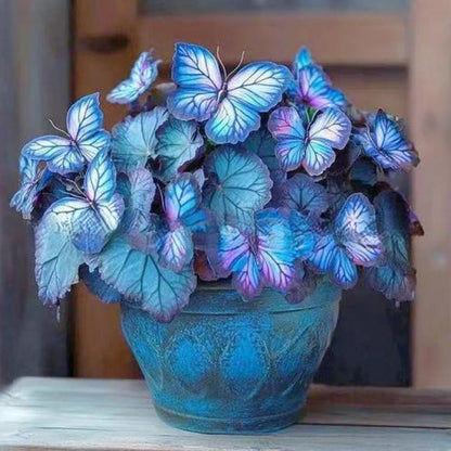 🦋 Whimsical Butterfly Shaped Flower Seeds ✨ | 🔥Buy 1 Get 1 Free🔥