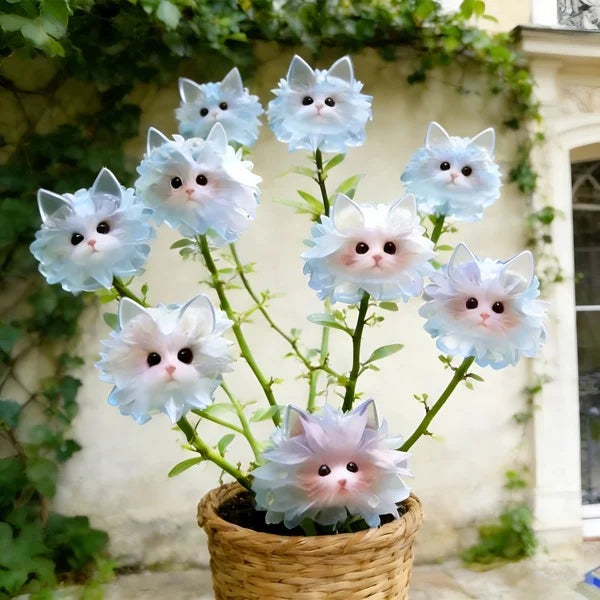 🐱Magical plants! Cat's eye dazzling series✨Cat’s Eye flower Bulbs🌸Buy 3 Get 1 Free🌸With Plant Growth Supplement