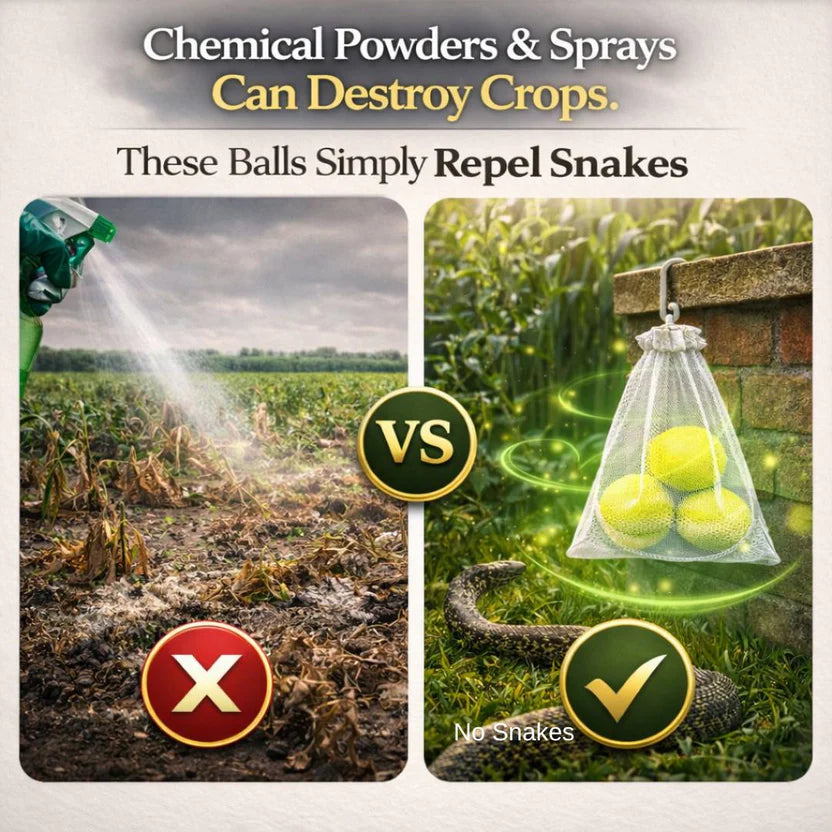 🥰HOT SALE 49% OFF🥰 🐍Snake Repellent Balls🐍 - Advanced Herbal Shield Protection✨Buy 1 Get 1 Free✨