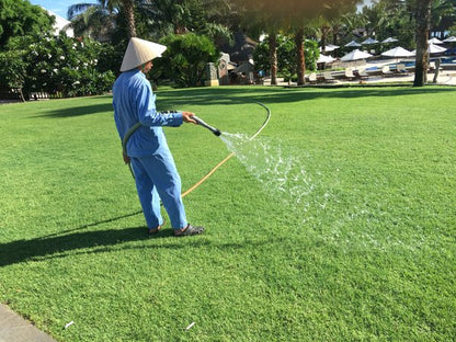 🌱 SPECIAL GRASS SEEDS | 🔥Buy 1 Get 1 Free🔥