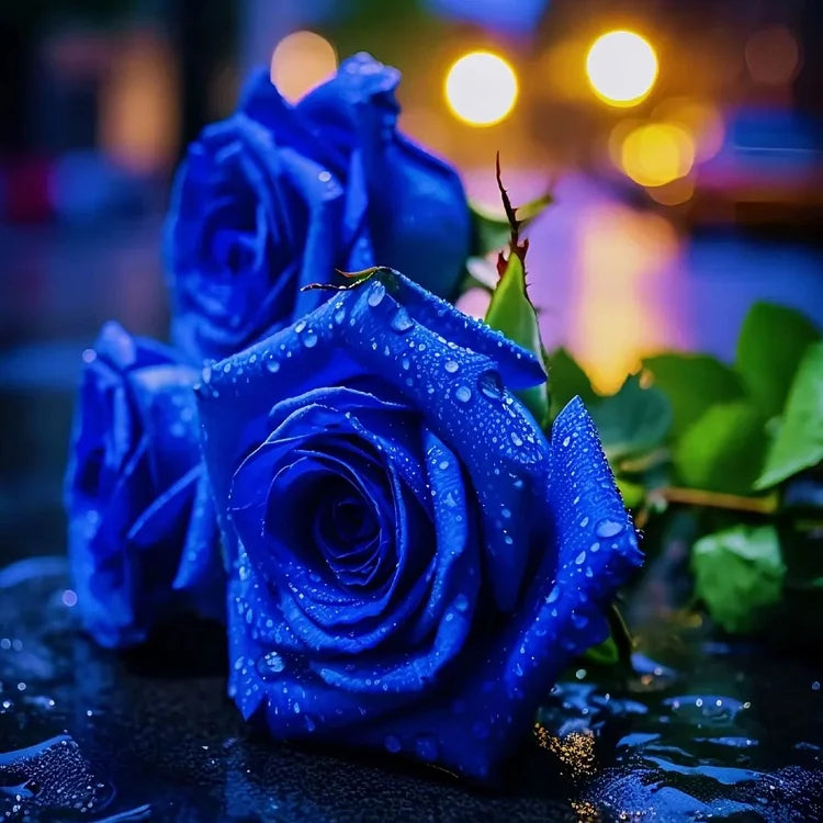 🌹SUMMER SPECIAL DAY SALE 50%OFF!!!🌹Rare Heirloom Blue Rose Seeds🌸BUY 1 GET 1 FREE!!🌸