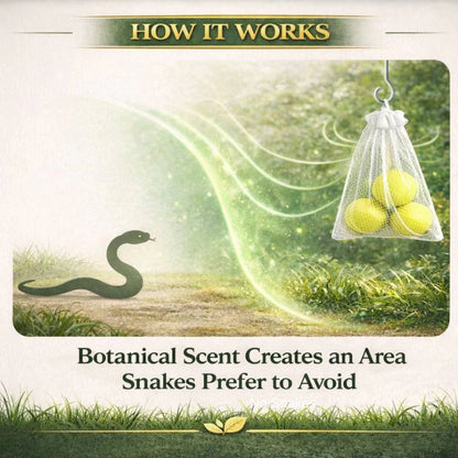🥰HOT SALE 49% OFF🥰 🐍Snake Repellent Balls🐍 - Advanced Herbal Shield Protection✨Buy 1 Get 1 Free✨