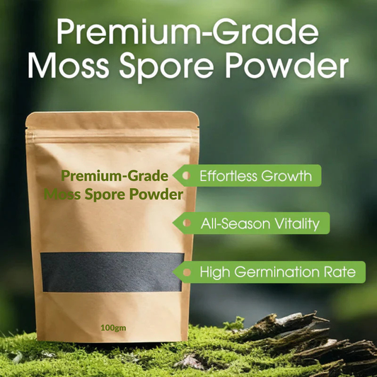 🔥Premium-Grade Moss Spore Powder🔥Buy 1 Get 1 Free🔥😍