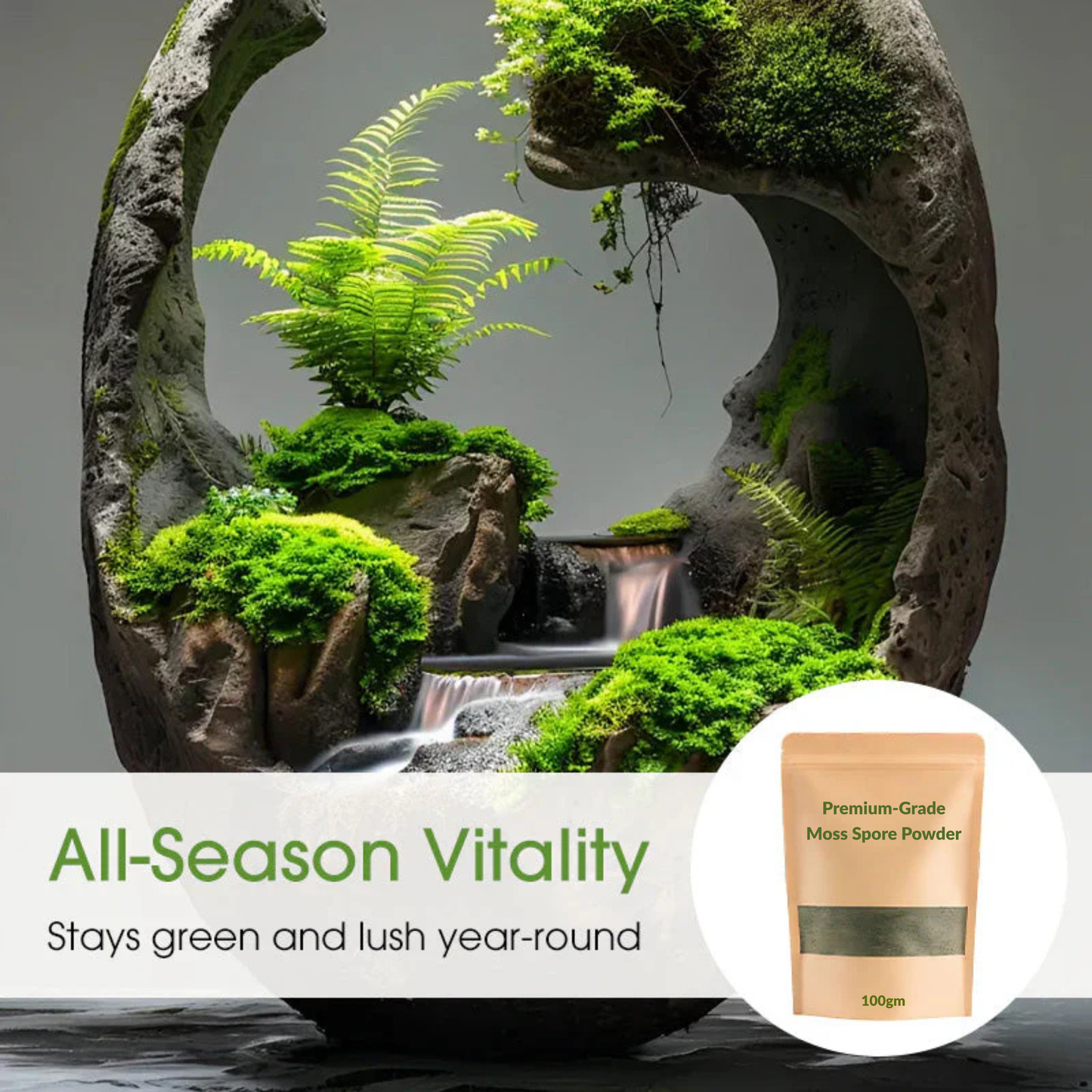 🔥Premium-Grade Moss Spore Powder🔥Buy 1 Get 1 Free🔥😍