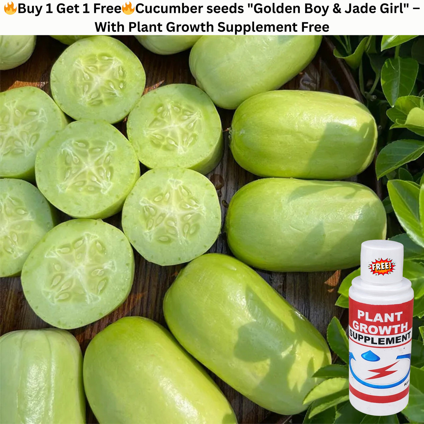 🔥Buy 1 Get 1 Free🔥Cucumber seeds "Golden Boy & Jade Girl" – With Plant Growth Supplement Free