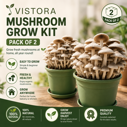 🥳2026 HOT SALE🥳💞50K+ SOLD!✨Premium Organic Mushroom Harvest Grow Kit Seeds – Buy 1 Get 1 F