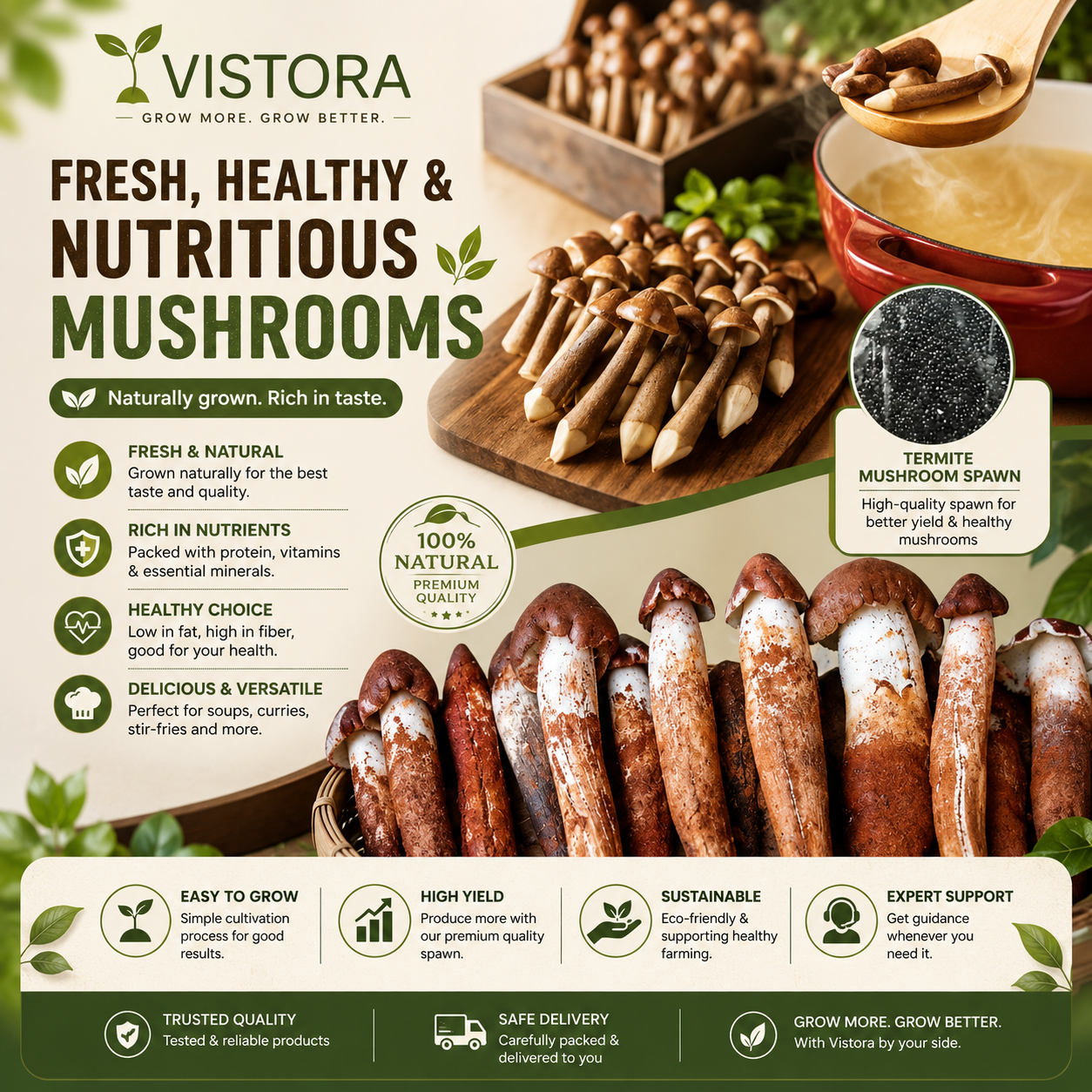 🥳2026 HOT SALE🥳💞50K+ SOLD!✨Premium Organic Mushroom Harvest Grow Kit Seeds – Buy 1 Get 1 F