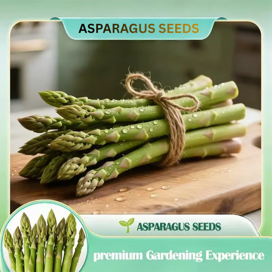 🌱 Grow Your Own Asparagus from Seeds — Fresh, Flavorful & Long-Lasting 👑 | 🔥Buy 1 Get 1 Free🔥