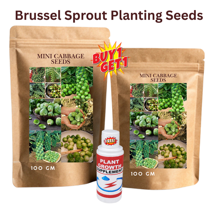 🔥Buy 1 Get 1 Free🔥🌟Brussel Sprout Planting Seeds (Mini Cabbage) – With Plant Growth Supplement Free