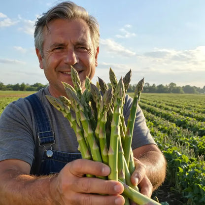 🌱 Grow Your Own Asparagus from Seeds — Fresh, Flavorful & Long-Lasting 👑 | 🔥Buy 1 Get 1 Free🔥