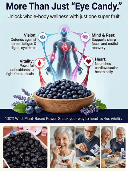 ✨ 50% OFF NOW! 🪨[Anti-Cancer and Heart Protection] Changbai Mountain Dried Blueberries Seeds | 🔥Buy 1 Get 1 Free🔥