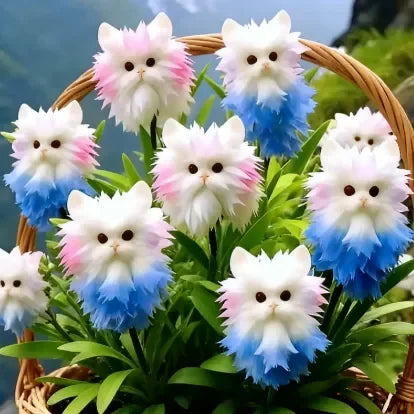 🐱Magical plants! Cat's eye dazzling series✨Cat’s Eye flower Bulbs🌸Buy 3 Get 1 Free🌸With Plant Growth Supplement