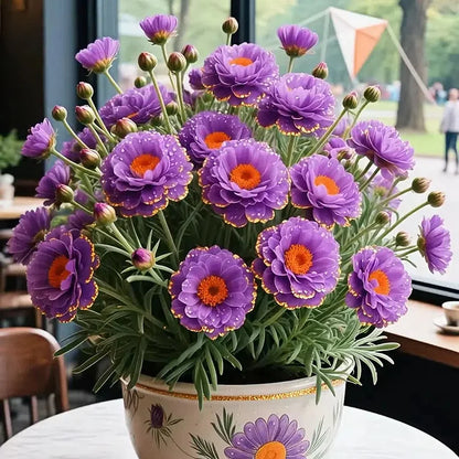 🌸 BUY 1 GET 1 FREE! 🌸Golden Lace Portulaca🌸✨ Brilliant Double Blooms for Effortless Summer Color