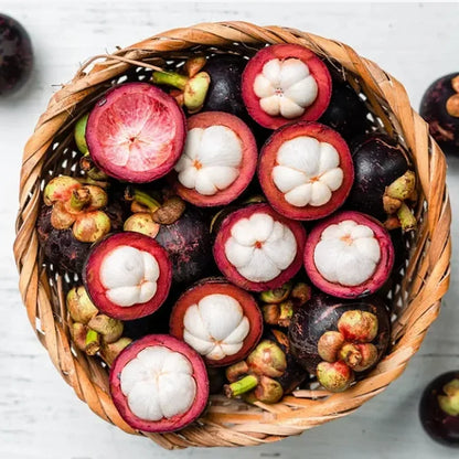 🔥Buy 1 Get 1 Free🔥🍈Mangosteen Seeds – Cultivate the Queen of Fruits in Your Garden!