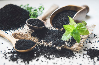 🌿 Mint Seeds – Fresh, Healthy & Easy to Grow | 🔥Buy 1 Get 1 Free🔥