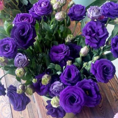 [Flowers even in frosty winter] 🌺High quality Lisianthus Seeds🌺🌸BUY 1 GET 1 FREE!!🌸