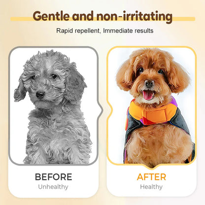 🚀🐛Buy 1 get 1 free🐱Flea and tick repellent spray for cats and dogs🐶