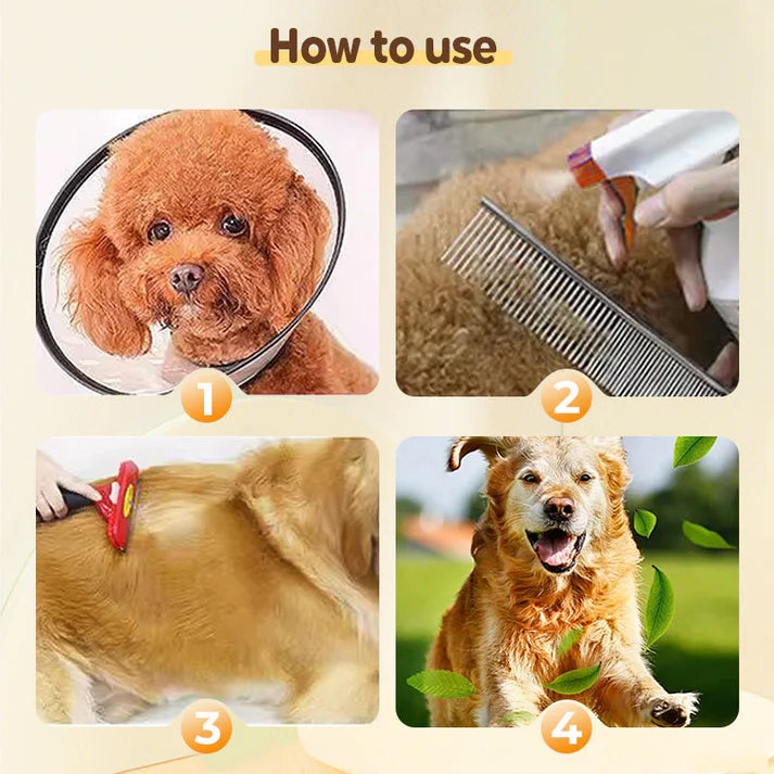 🚀🐛Buy 1 get 1 free🐱Flea and tick repellent spray for cats and dogs🐶