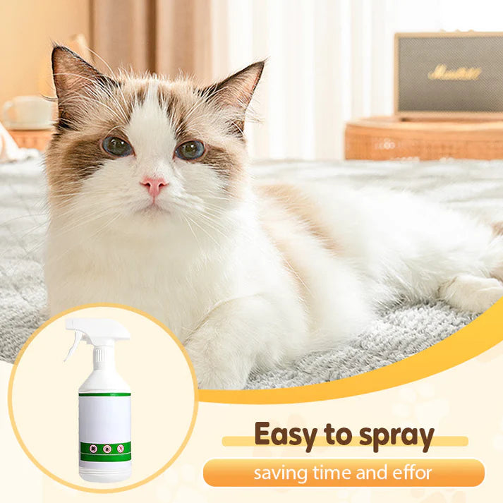 🚀🐛Buy 1 get 1 free🐱Flea and tick repellent spray for cats and dogs🐶