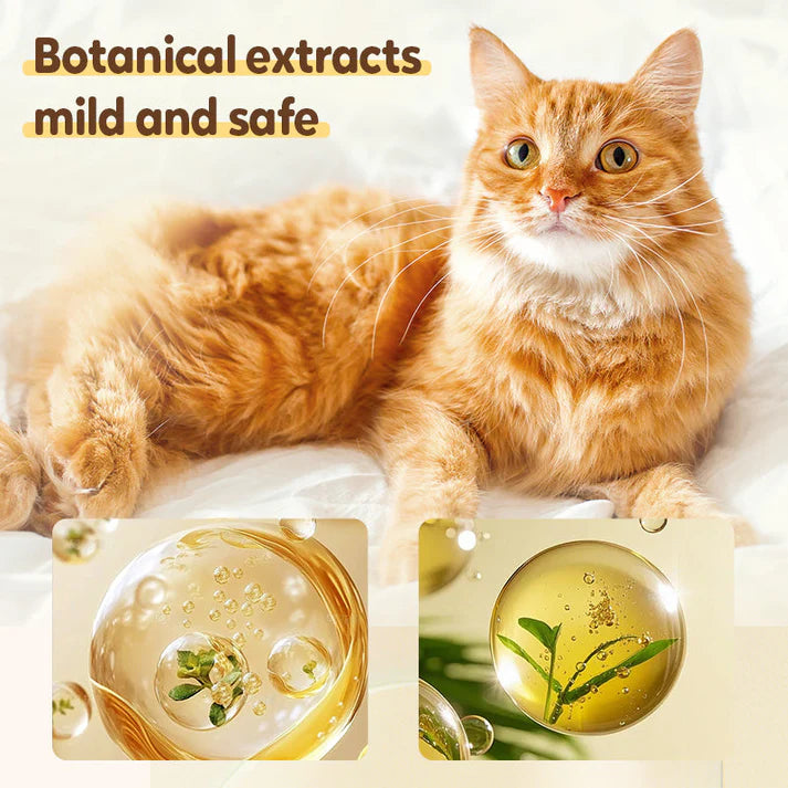🚀🐛Buy 1 get 1 free🐱Flea and tick repellent spray for cats and dogs🐶