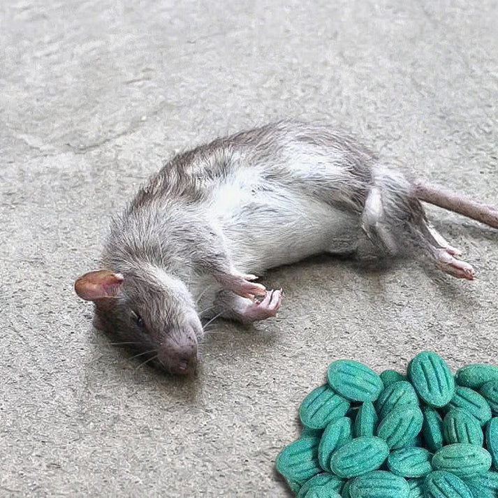 ✨High-Potency Rodent Bait✨🔥 BUY 1 GET 1 FREE! 🔥
