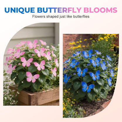 🦋 Whimsical Butterfly Shaped Flower Seeds ✨ | 🔥Buy 1 Get 1 Free🔥