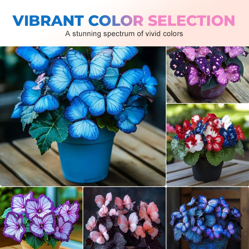 🦋 Whimsical Butterfly Shaped Flower Seeds ✨ | 🔥Buy 1 Get 1 Free🔥