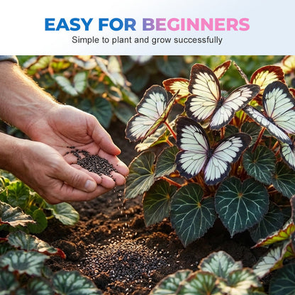 🦋 Whimsical Butterfly Shaped Flower Seeds ✨ | 🔥Buy 1 Get 1 Free🔥