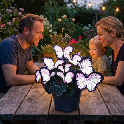 🦋 Whimsical Butterfly Shaped Flower Seeds ✨ | 🔥Buy 1 Get 1 Free🔥