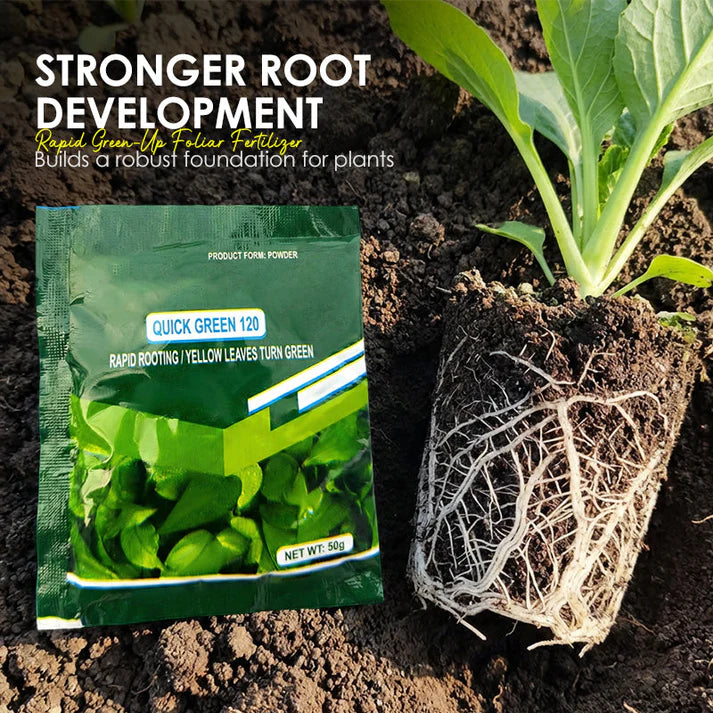 💥Hot sale 50% OFF♻️💧⚡Rapid Green-Up Foliar Fertilizer 🍃🌸BUY 2 GET 1 FREE🌸