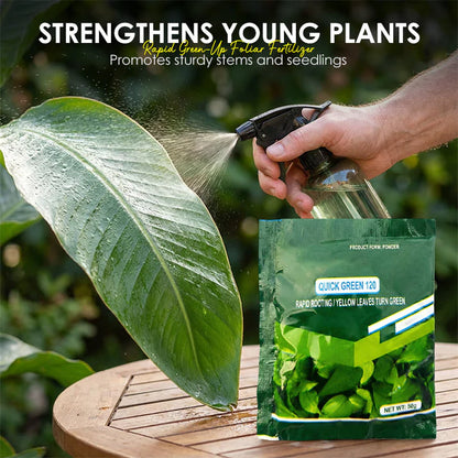 💥Hot sale 50% OFF♻️💧⚡Rapid Green-Up Foliar Fertilizer 🍃🌸BUY 2 GET 1 FREE🌸