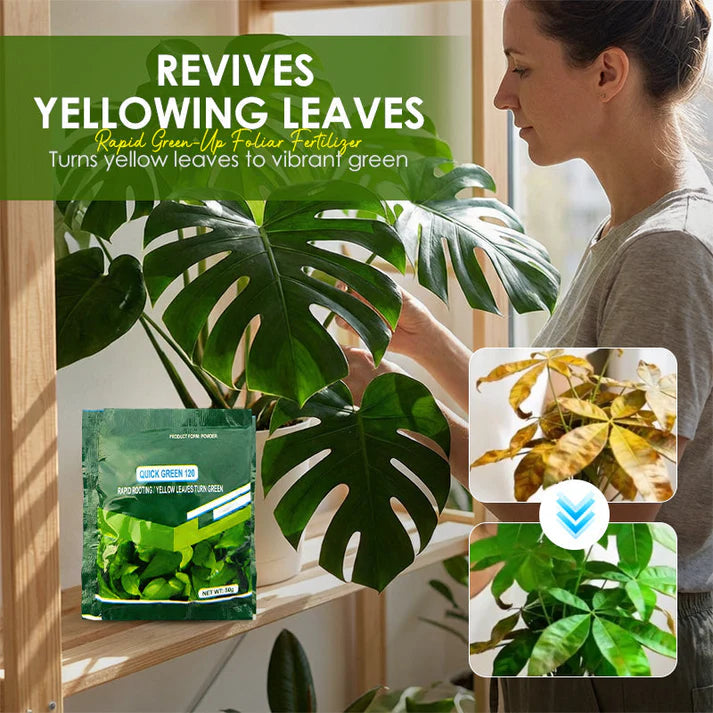 💥Hot sale 50% OFF♻️💧⚡Rapid Green-Up Foliar Fertilizer 🍃🌸BUY 2 GET 1 FREE🌸