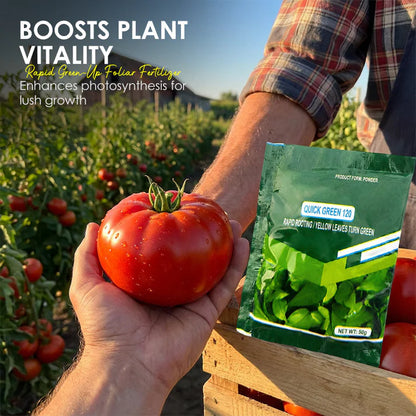 💥Hot sale 50% OFF♻️💧⚡Rapid Green-Up Foliar Fertilizer 🍃🌸BUY 2 GET 1 FREE🌸