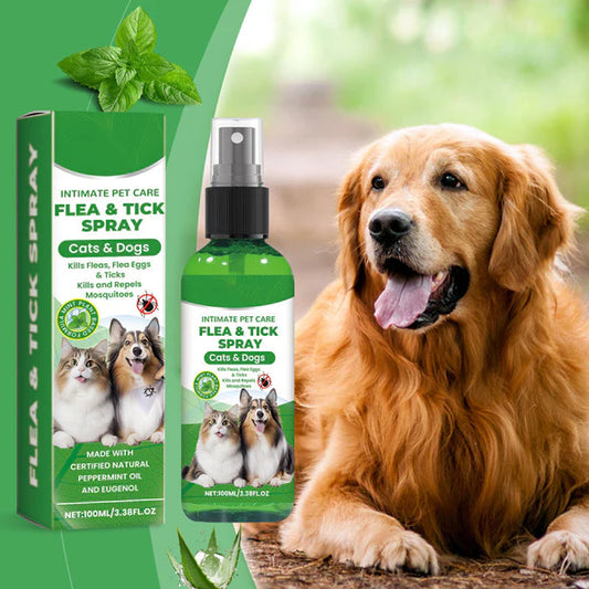 🍃Natural Flea & Tick Spray for Dogs and Cats🐾 Keep Your Beloved Pet Free from Pests💥BUY 1 GET 1 FREE💥