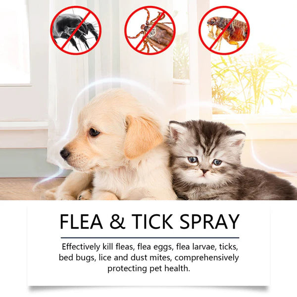 🍃Natural Flea & Tick Spray for Dogs and Cats🐾 Keep Your Beloved Pet Free from Pests💥BUY 1 GET 1 FREE💥