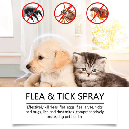🍃Natural Flea & Tick Spray for Dogs and Cats🐾 Keep Your Beloved Pet Free from Pests💥BUY 1 GET 1 FREE💥
