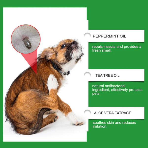🍃Natural Flea & Tick Spray for Dogs and Cats🐾 Keep Your Beloved Pet Free from Pests💥BUY 1 GET 1 FREE💥