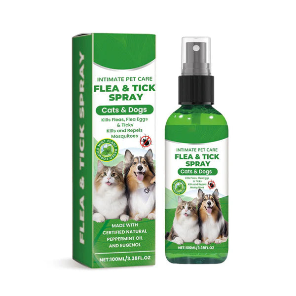 🍃Natural Flea & Tick Spray for Dogs and Cats🐾 Keep Your Beloved Pet Free from Pests💥BUY 1 GET 1 FREE💥